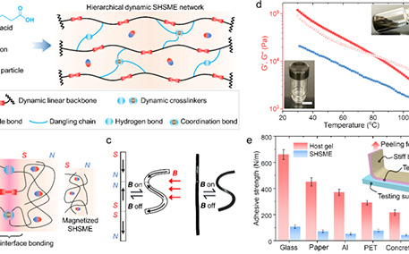 这只蜘蛛机器人成精了!
